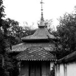 IMG-20261016-WA0031